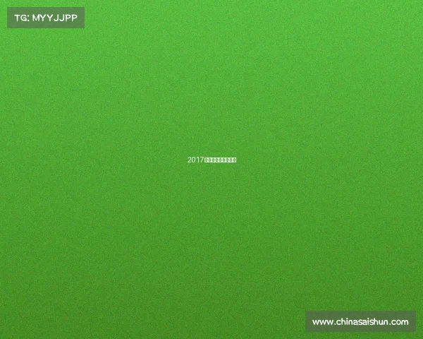 2017全国电子竞技公开赛